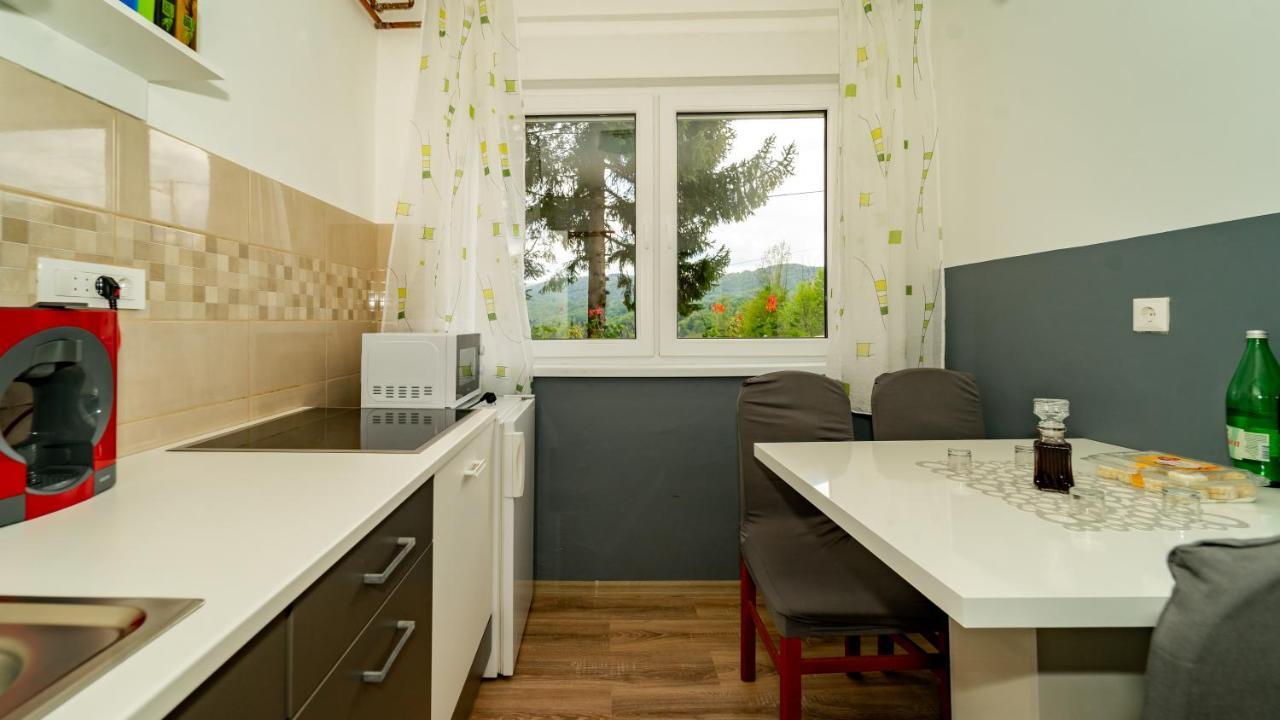 Apartman Gradina Gomirje Екстер'єр фото